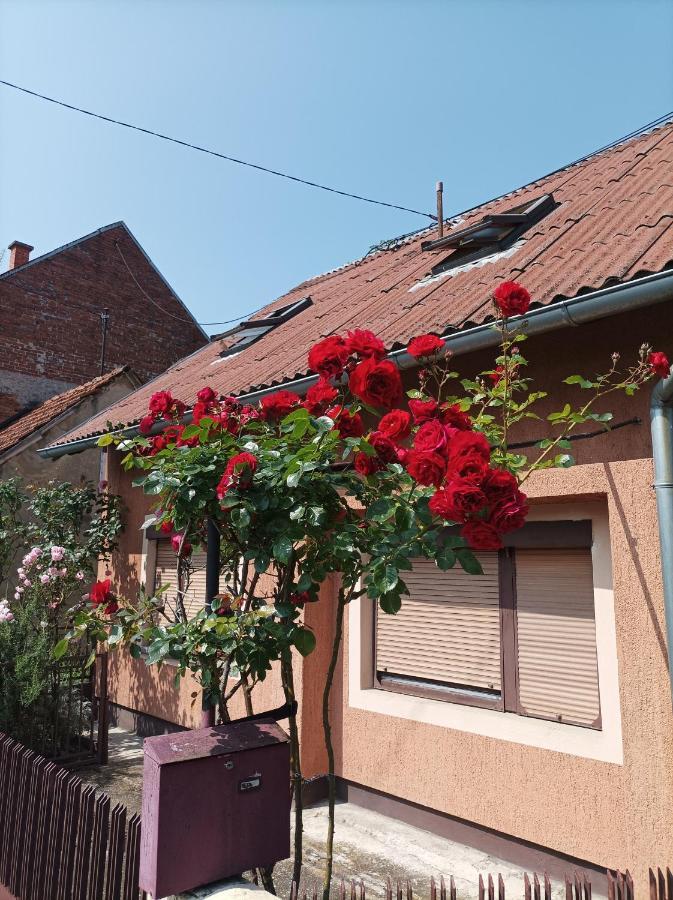 Annabelle Apartment Zagreb Exterior foto